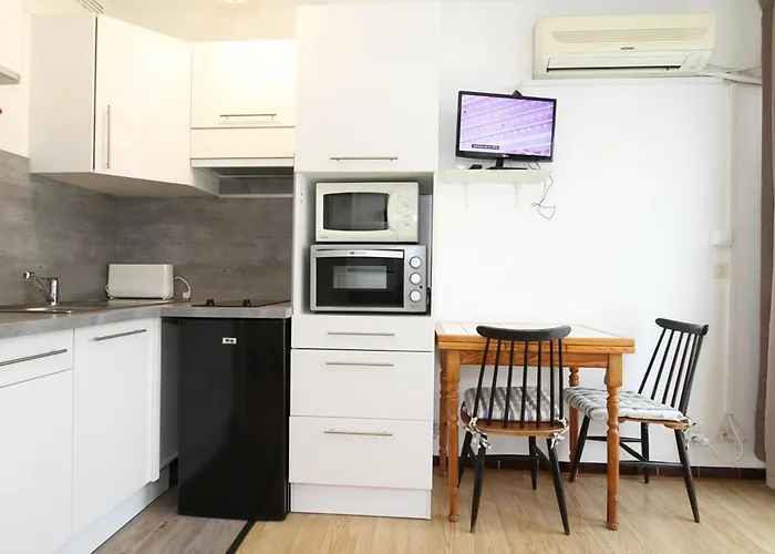 Apartmán De Charme Avec Parking Privatif, Climatisation, Wi-fi Et Loggia Fermee A - Fr-1-553-96 *